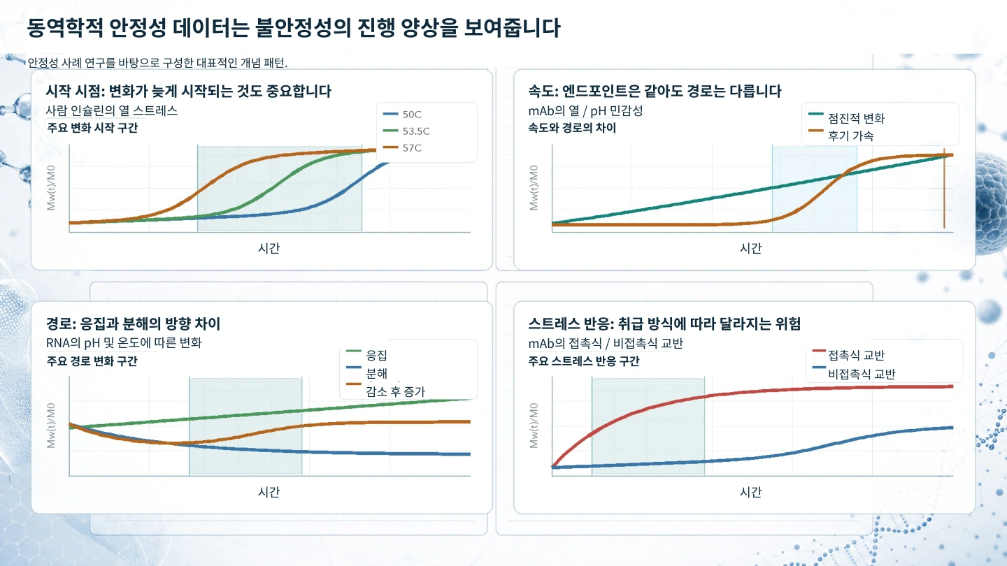시작 시점, 속도, 경로 및 스트레스 반응의 차이를 보여주는 대표적인 동역학적 안정성 패턴.