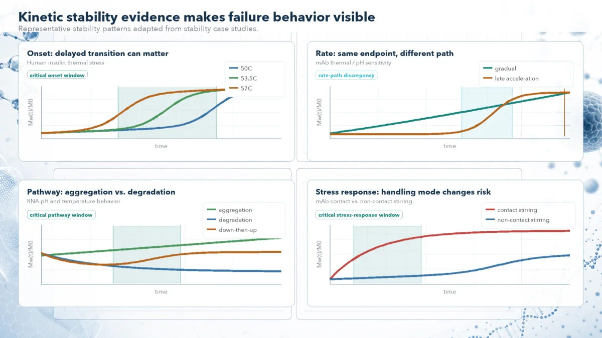Representative kinetic stability evidence showing onset, rate, pathway, and stress response differences.